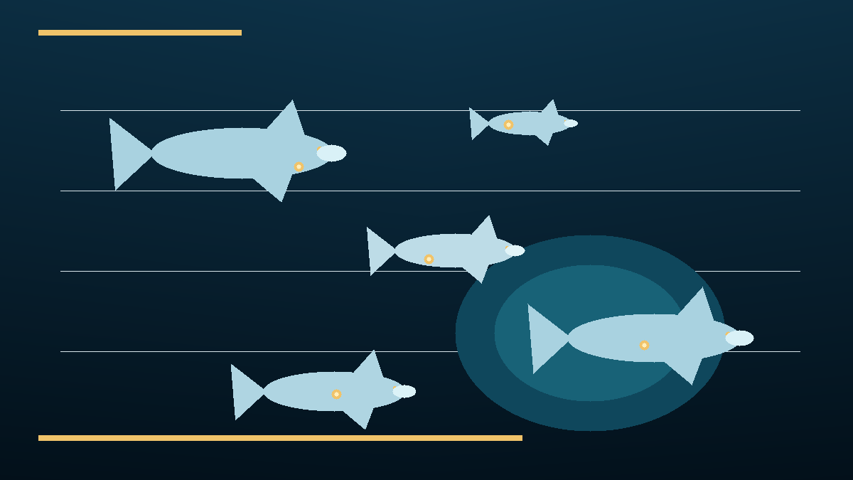 How Much Do We Really Know About Rare Deep-Water Sharks? — SCRIBE editorial image
